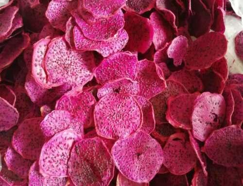 Freeze-Dried Pitaya: How to Choose, Use, and Keep It Delicious