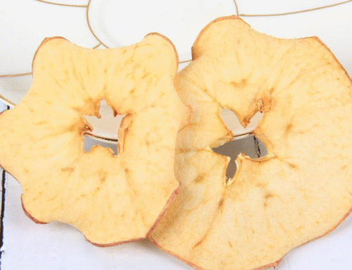 How to Buy Dried Apple Chips Wholesale: Simple Tips That Save Money